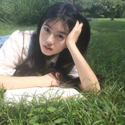 欢迎来到丛林