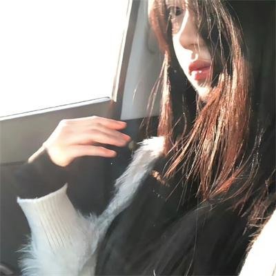 好莱坞真情告白